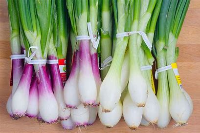 Spring Onions